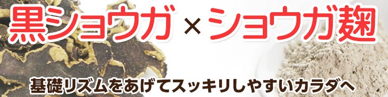 ���ꂪ�Ō�̃_�C�G�b�g�b�y��ƍ����I�̃T�v�����T�C�g